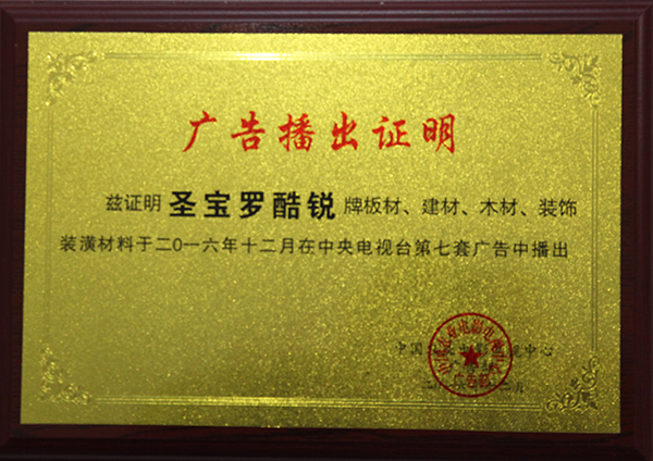广告播出证明.jpg