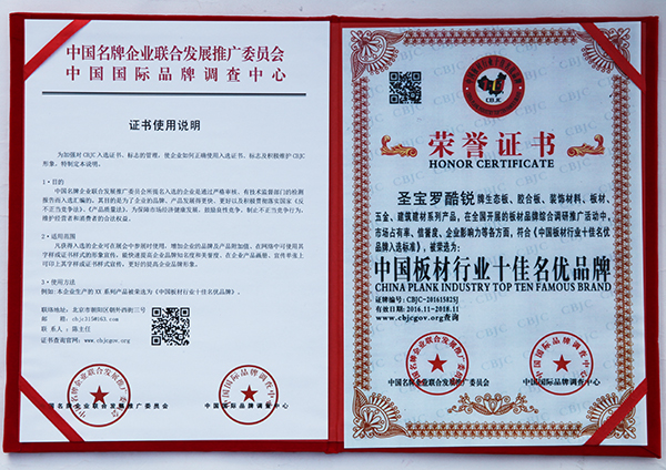 中国板材行业十佳名优品牌荣誉证书.jpg